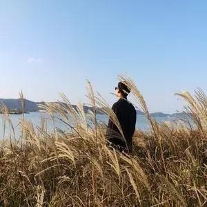 王哥FM 🎙