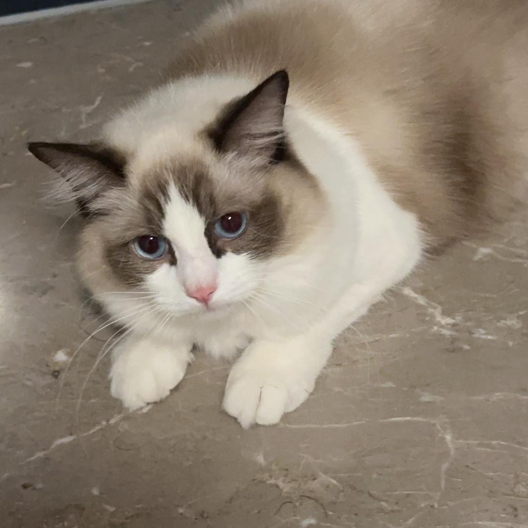 何占兵的运输优品小铺