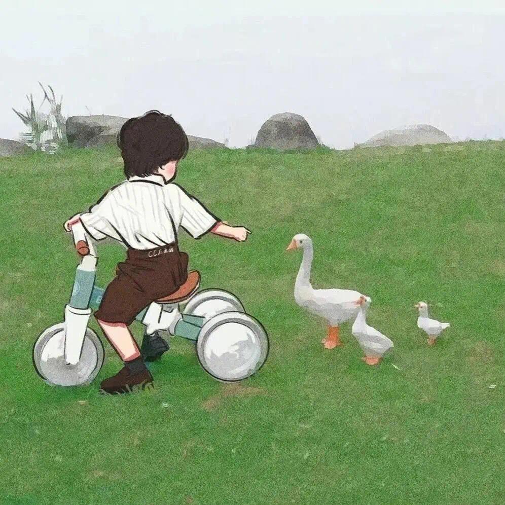 淡定不了