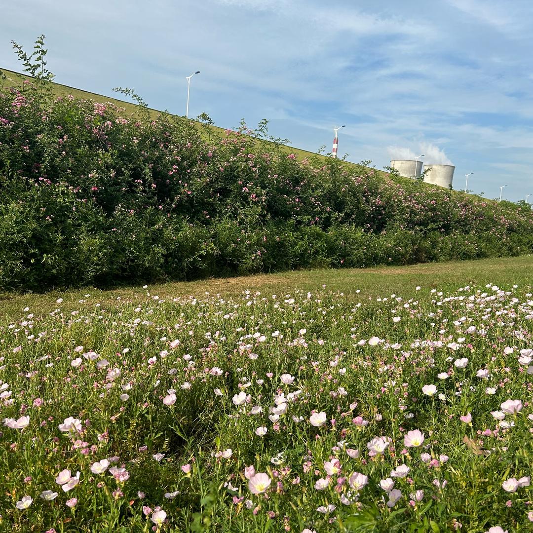 ❤️平安喜乐❤️