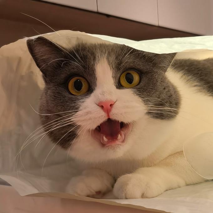 士多啤梨的背影(˘▽˘)っ🍓