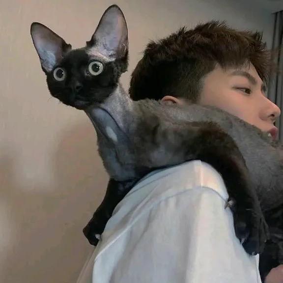 等风来@