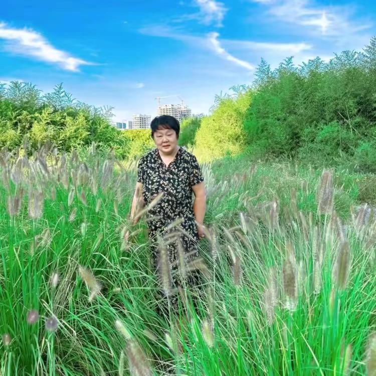 单身玲玲