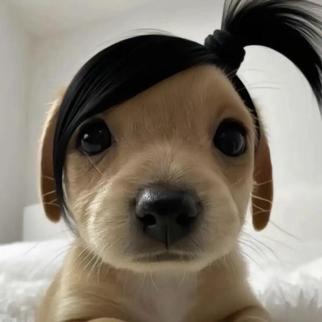 小 鱼