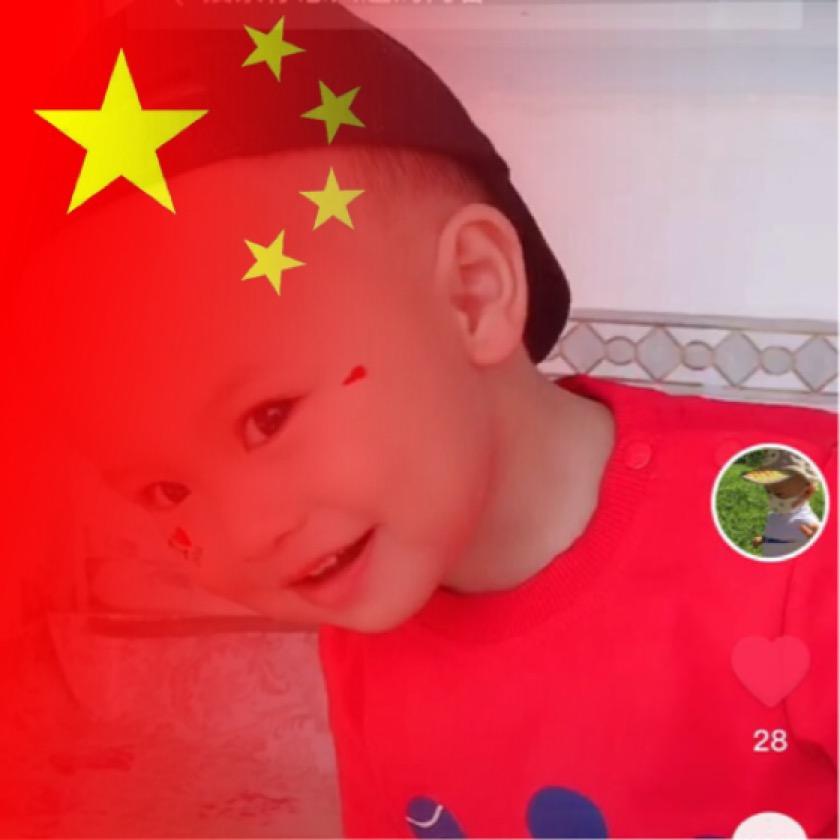会飞的鱼🐠🌈