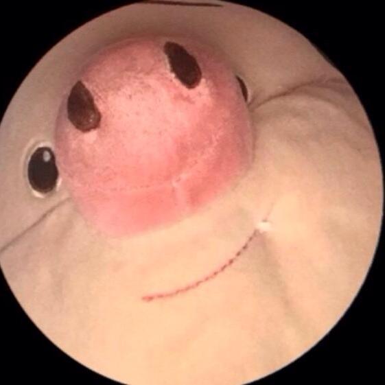 迷你世界罗喵    和小奶哇（必回关）