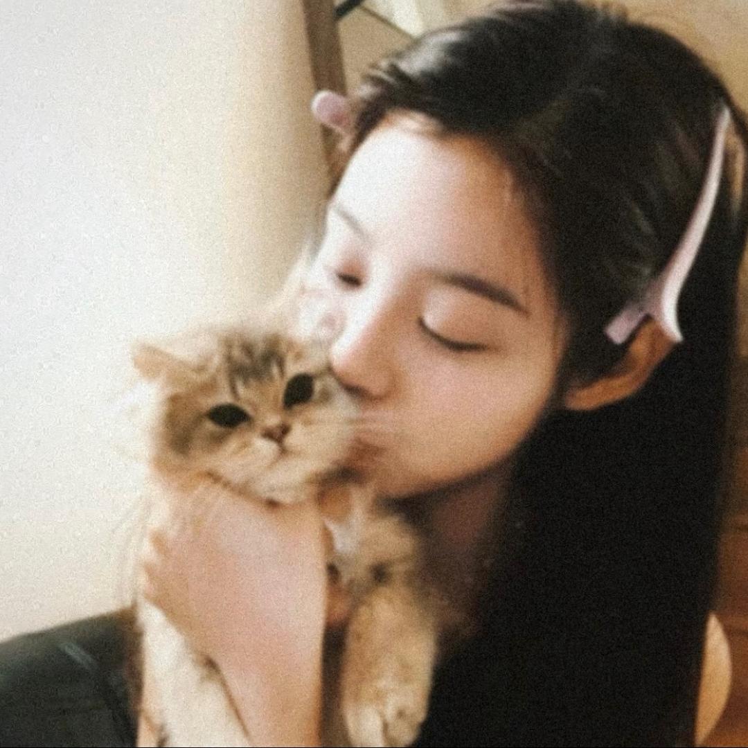 爱吃猫的鱼🌈