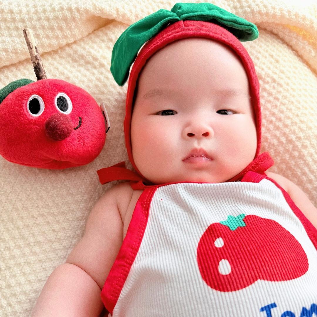 小石榴的快乐生活