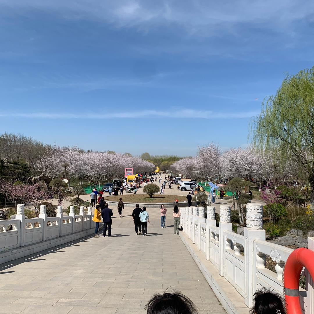 不失眠