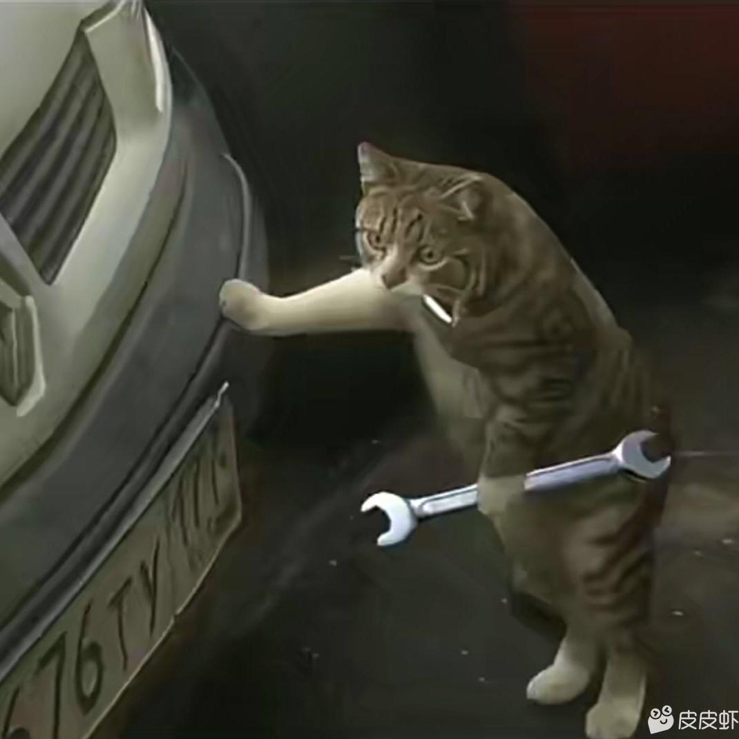 被修车耽误的钓鱼高手