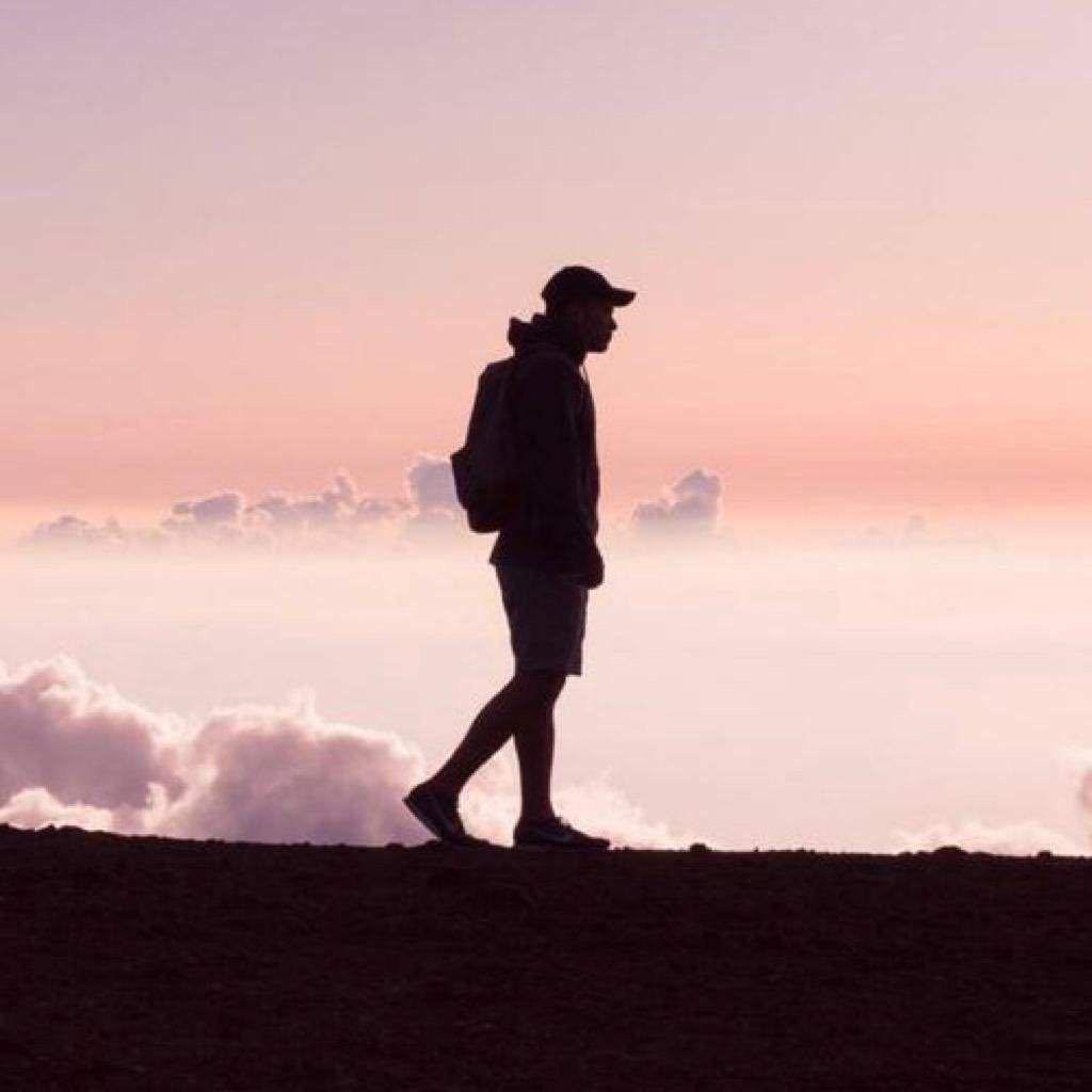 🌈 🃏龙飞花木