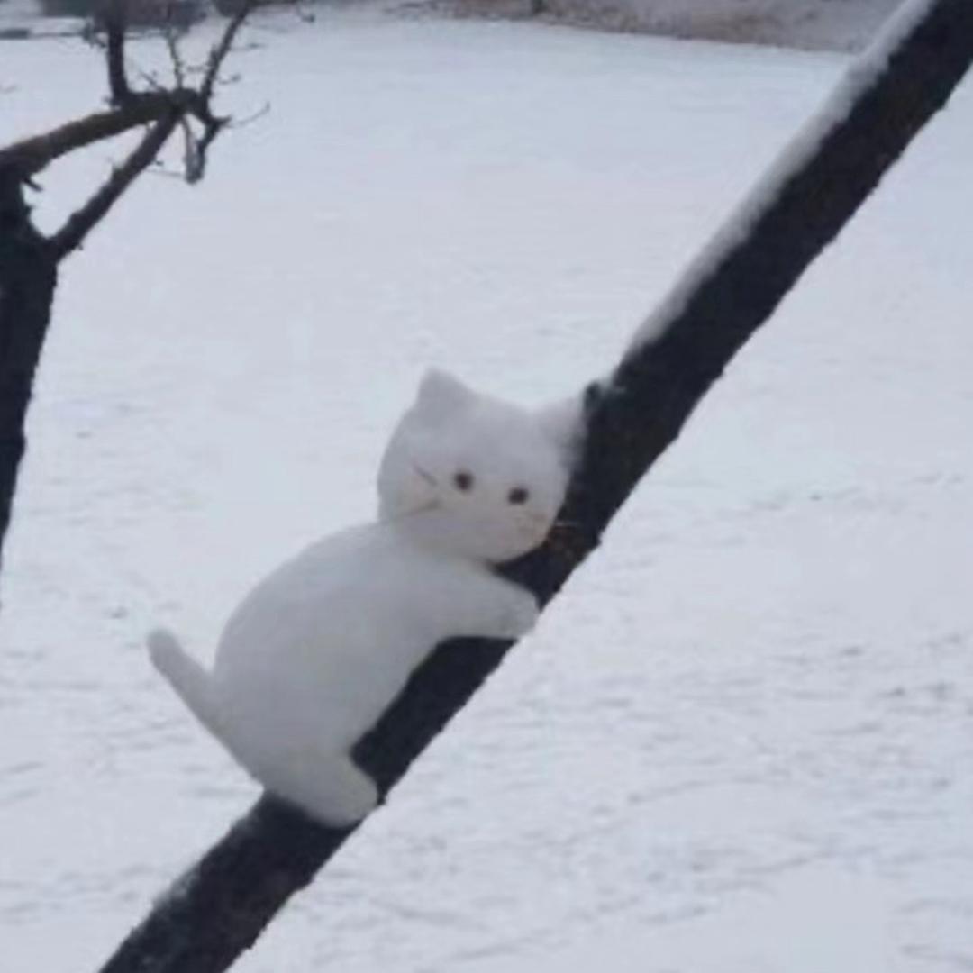 赵一博