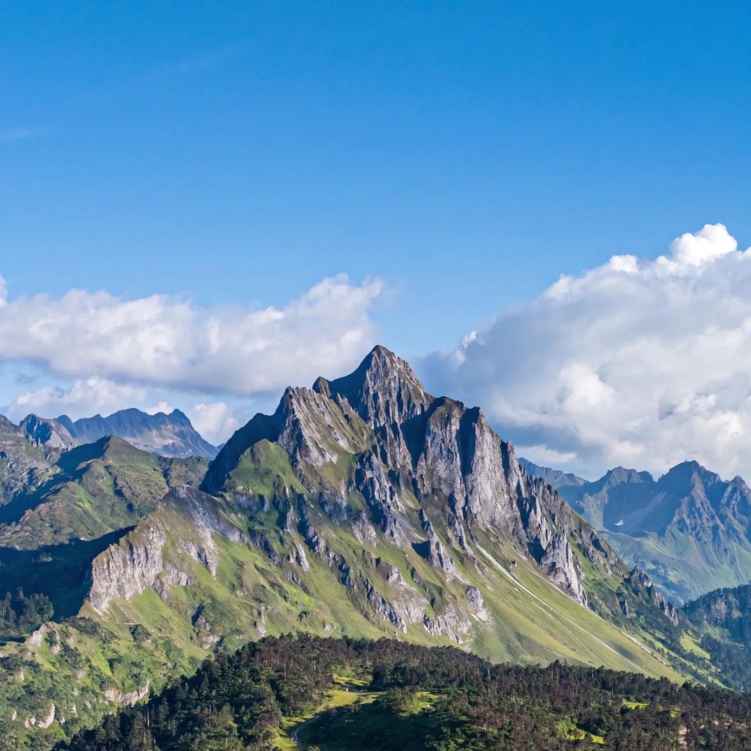 苗丽芳抑菌护理