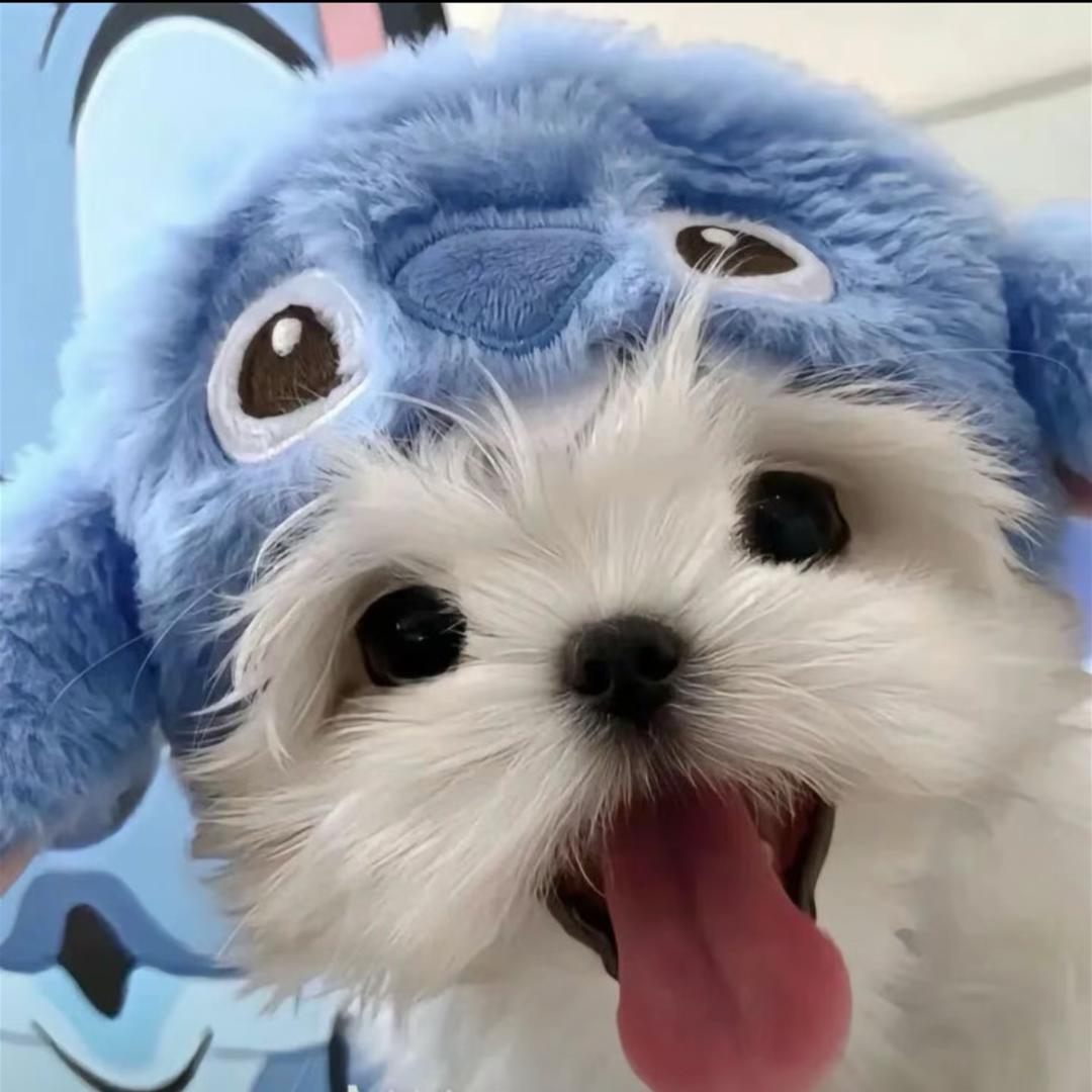 老六只赚二三百苗苗精选