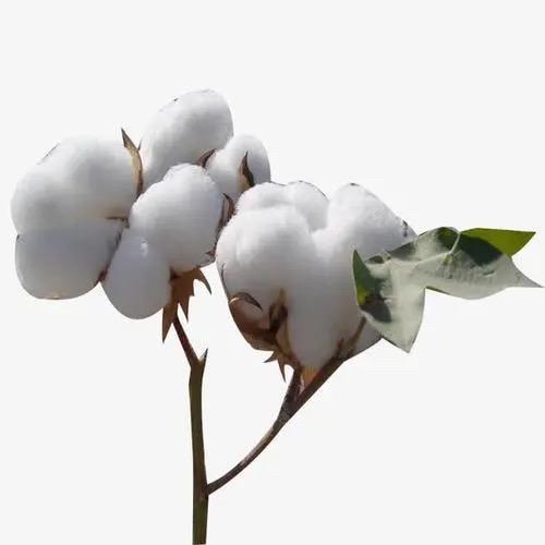 龘龘无界