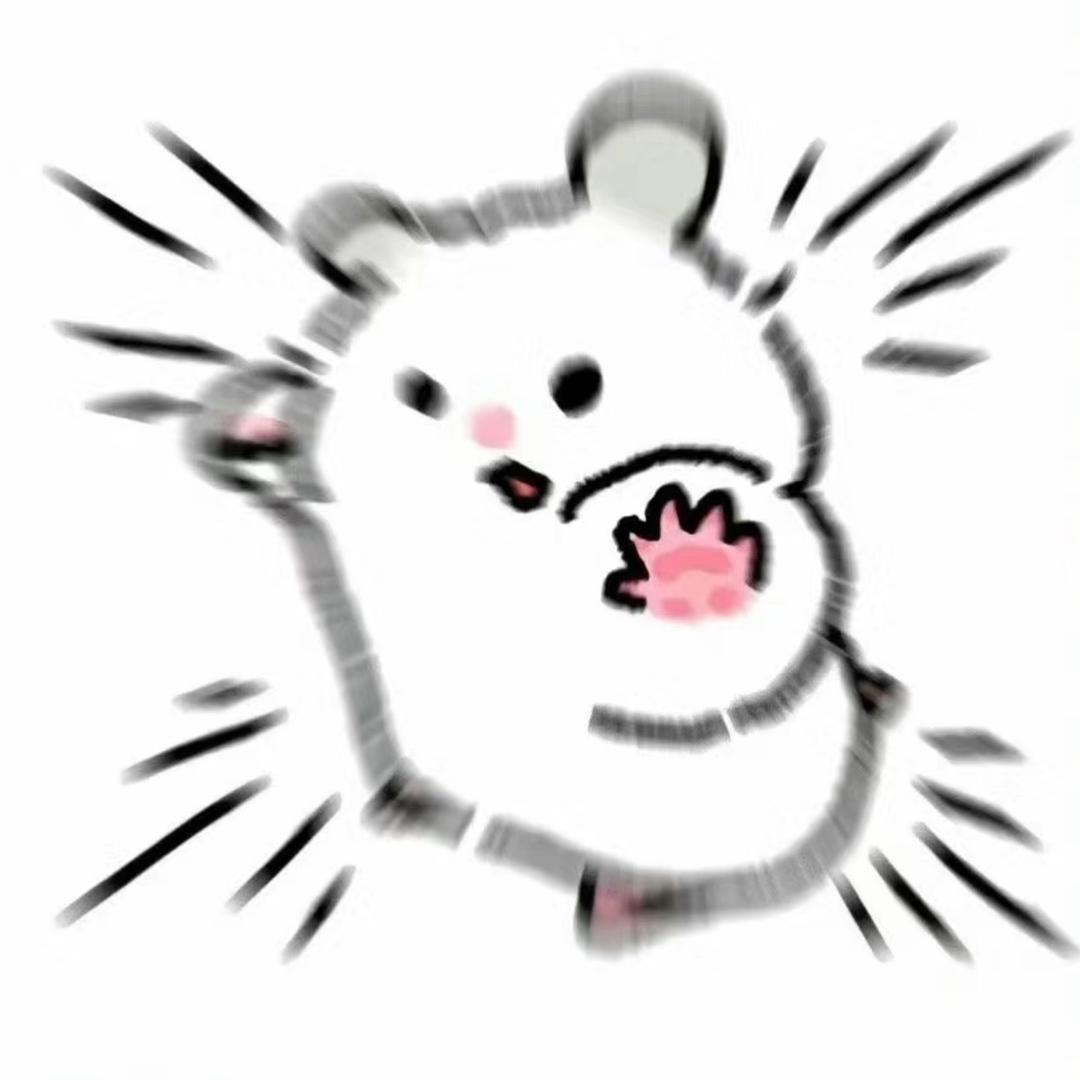 腼腆鼠