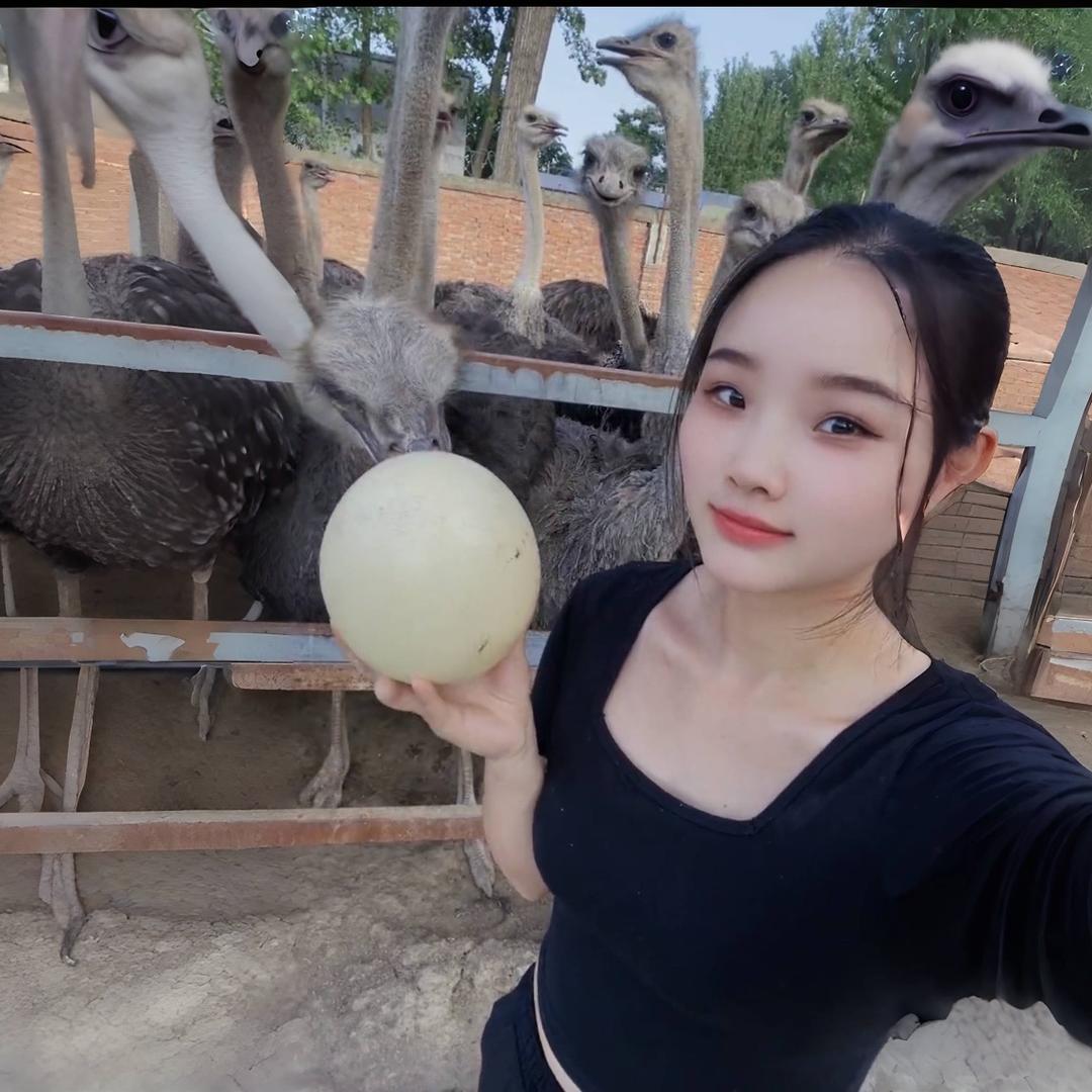 小佳养殖
