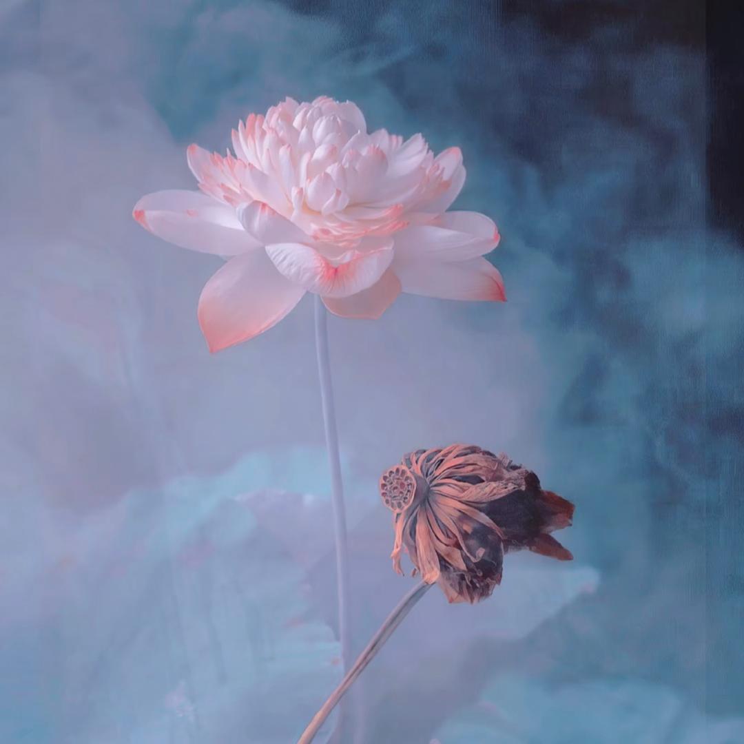 高高兴兴的高高