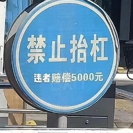 @渣渣