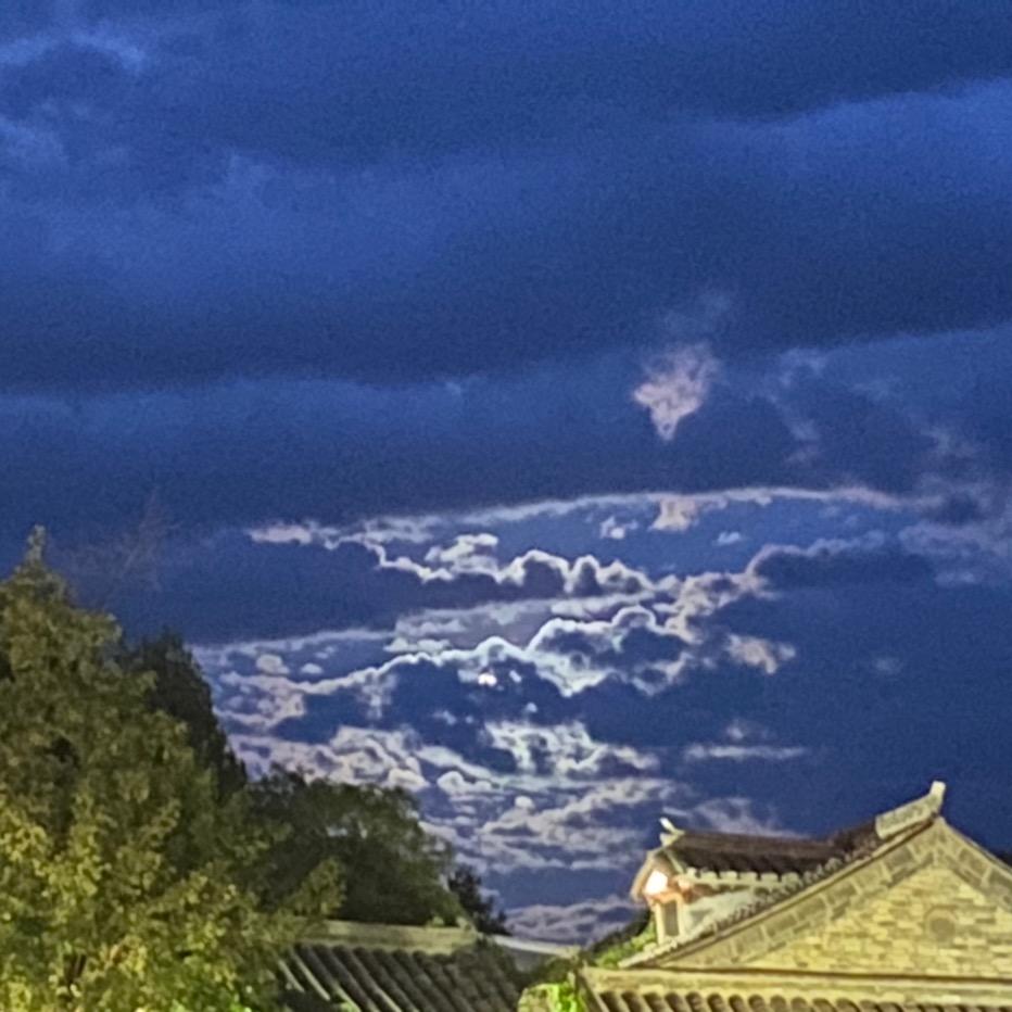 巍
