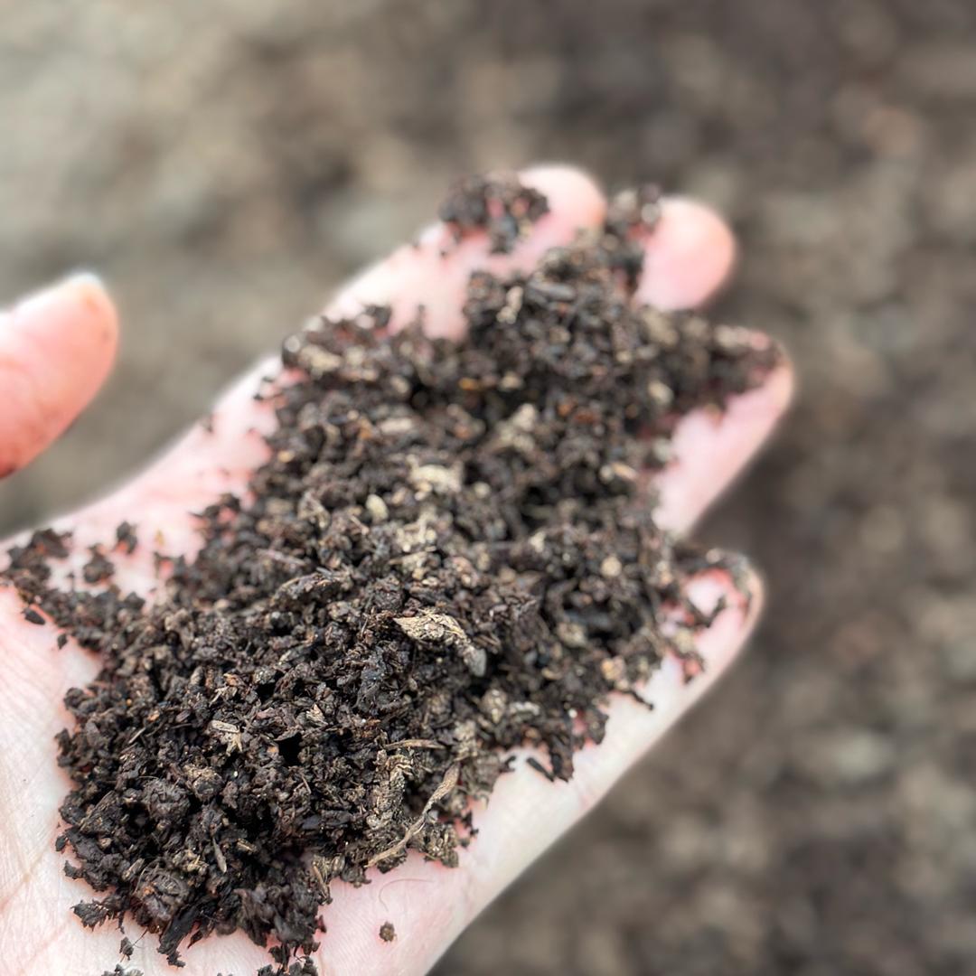 ☀️张多肉肉多🥬🌽🥦🥕🫒🥑