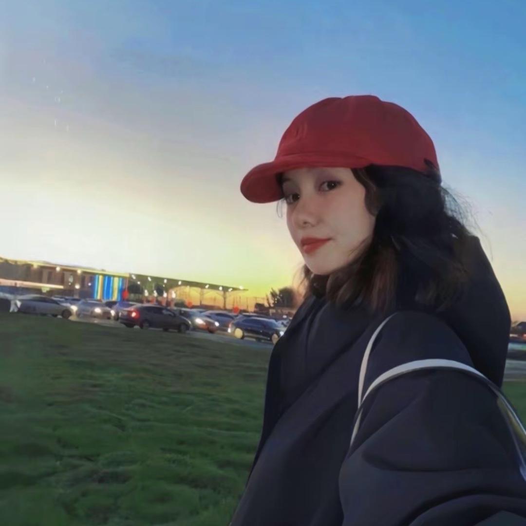 苏西的沈阳日记