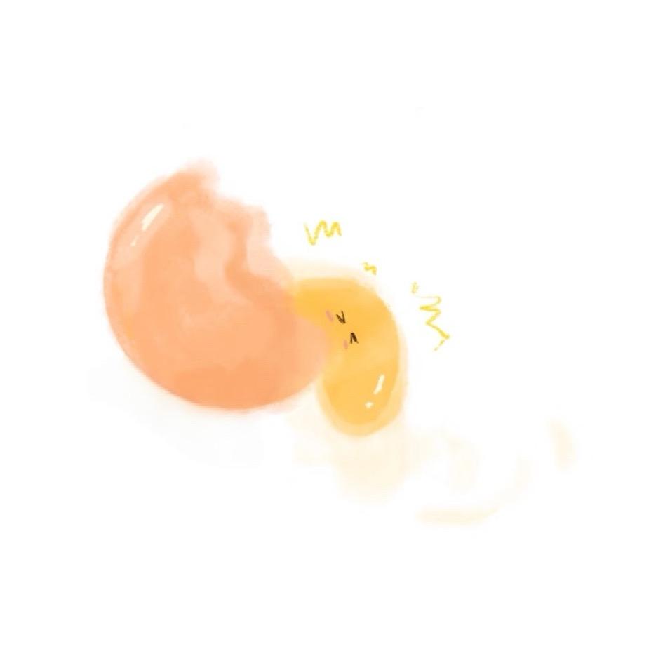 蛋蛋
