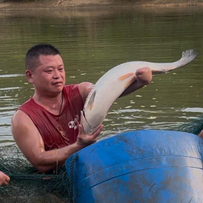 荷花园(老杨火焙鱼).