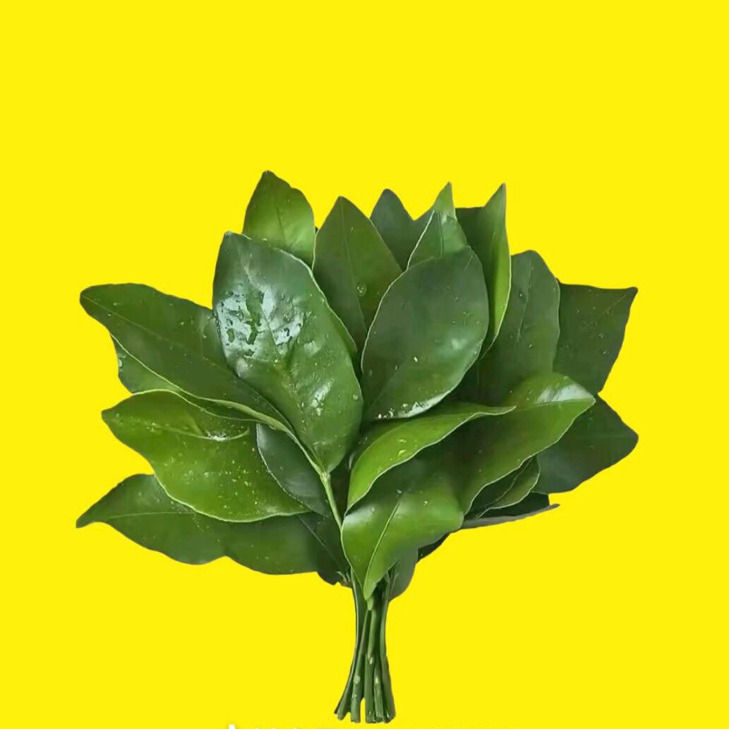 🌞是卷卷呀🍀