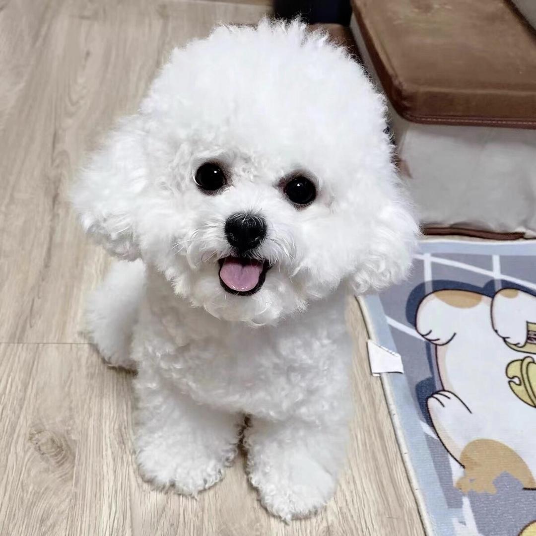 小熊熊🐻