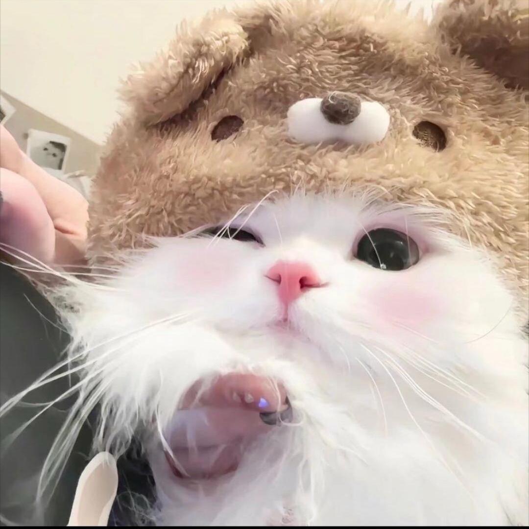 JINGJING