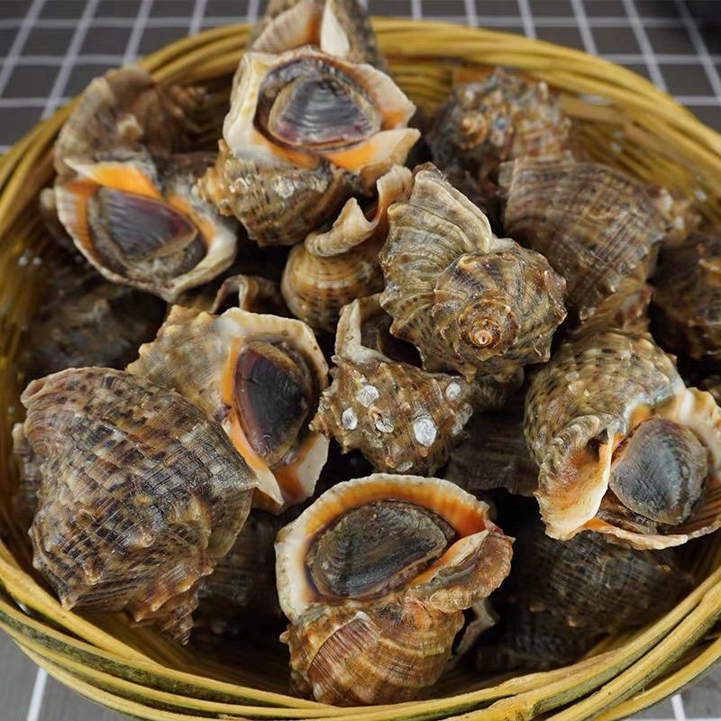 欣欣海鲜小店