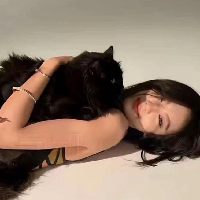 -呆 呆-.