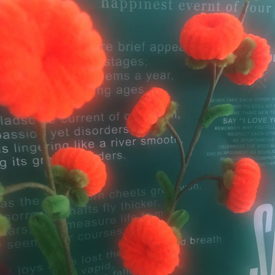 心儿～