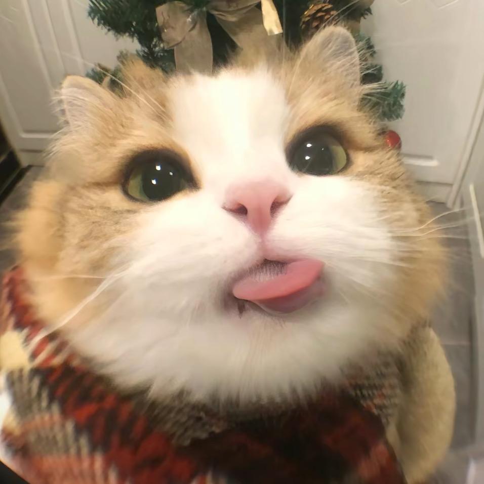 喵桑！