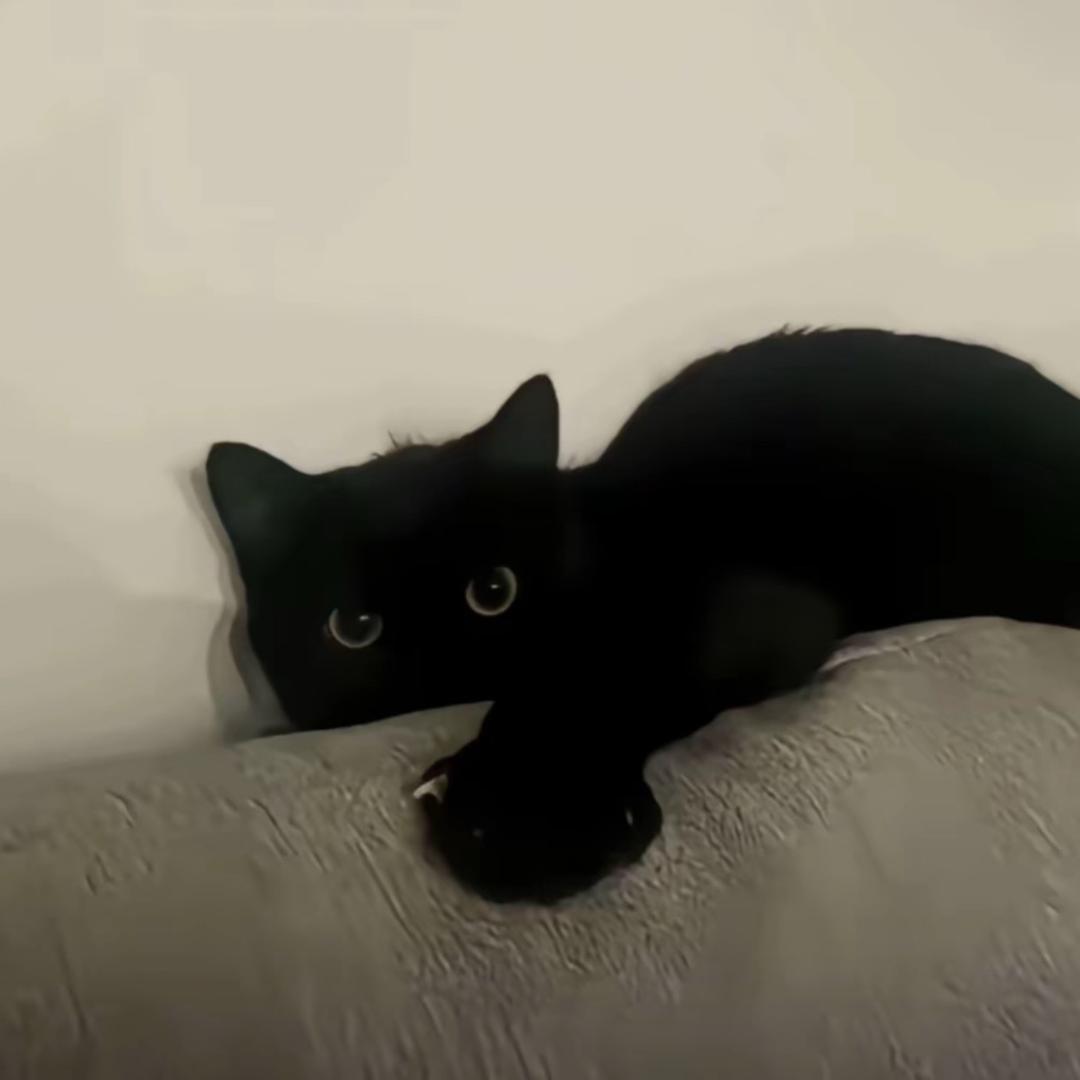 怮