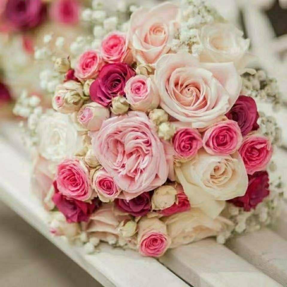 一缕春风（拒绝私聊）