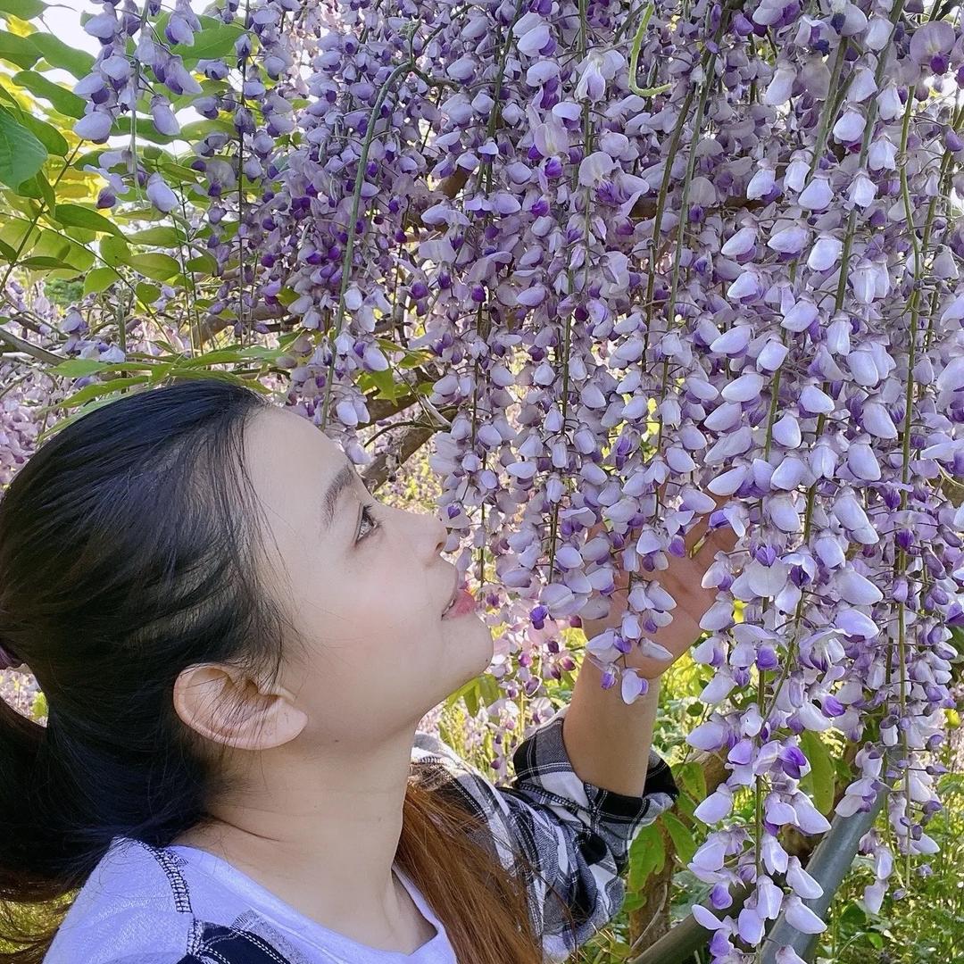 回忆与你一笑而过