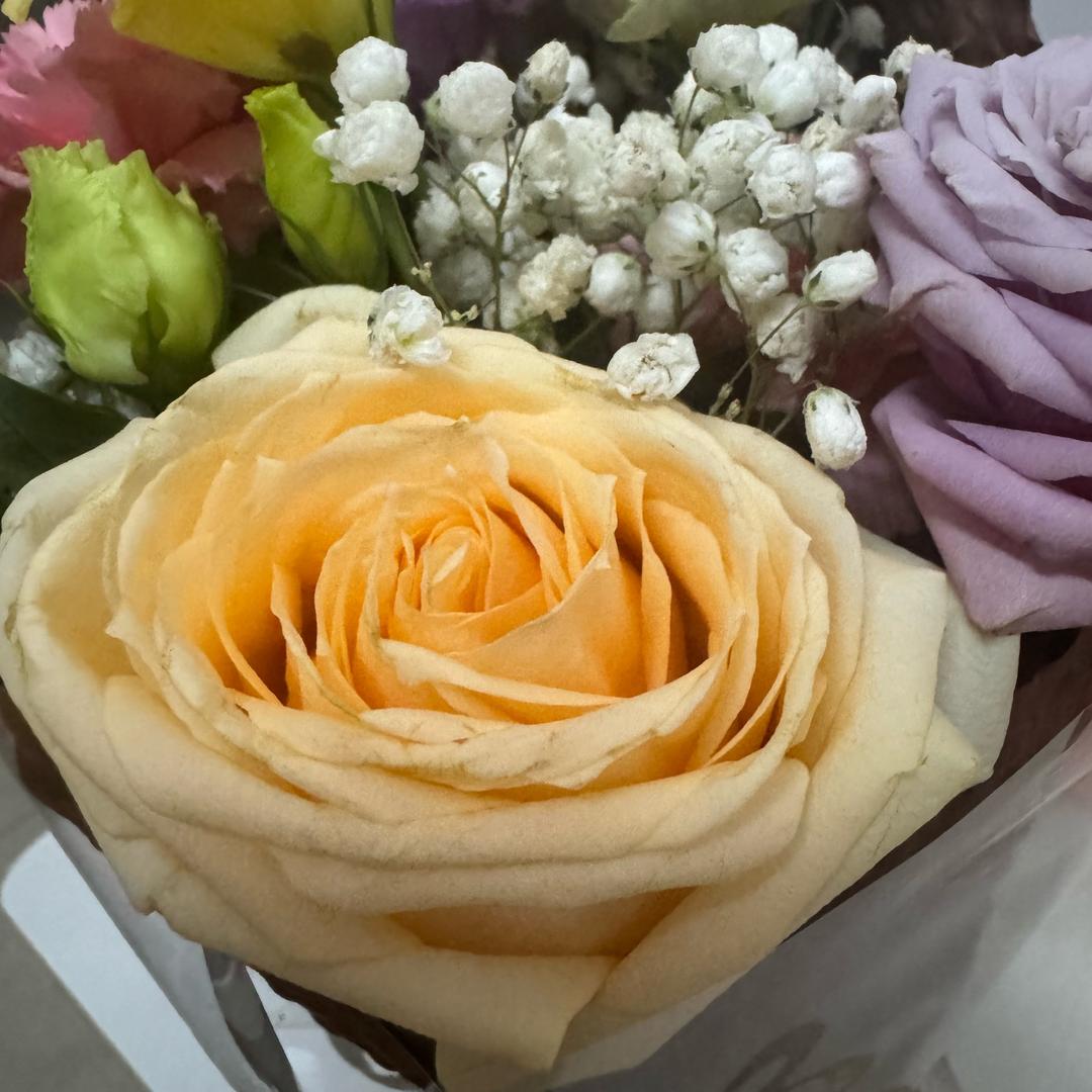 🐉姚姚领先🐄