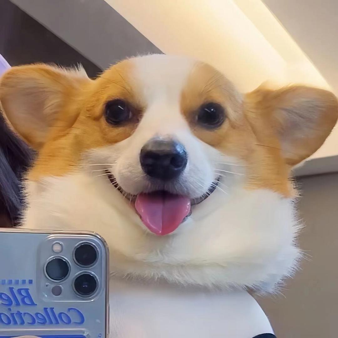 豆橛子