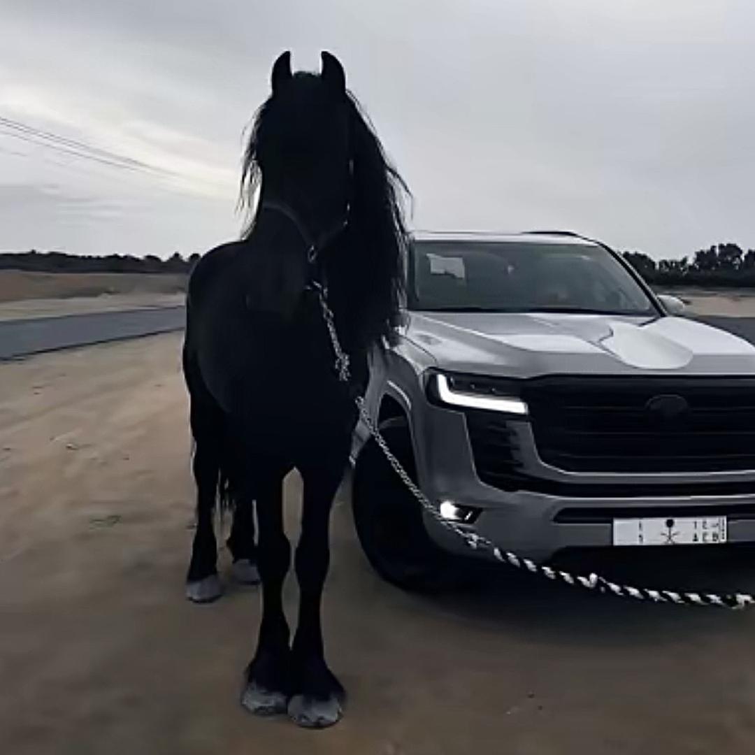 亦辰