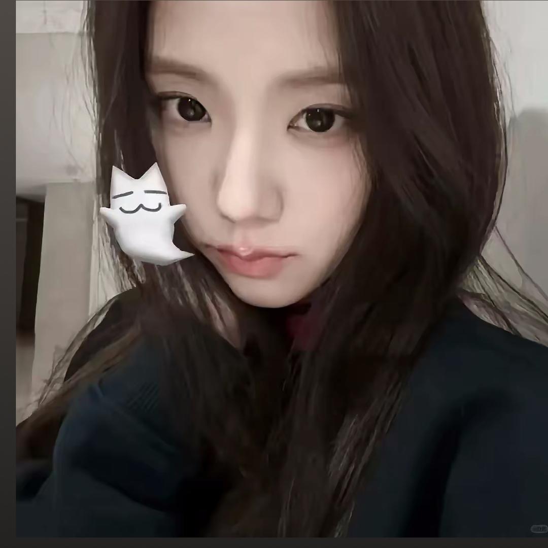 猫猫大王