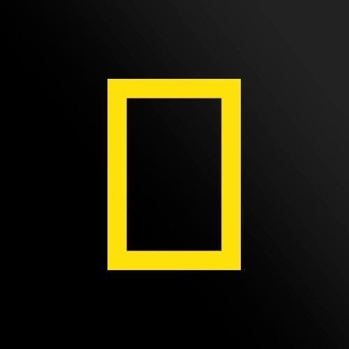 斯蒂庞克男孩儿