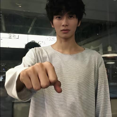 不会飞