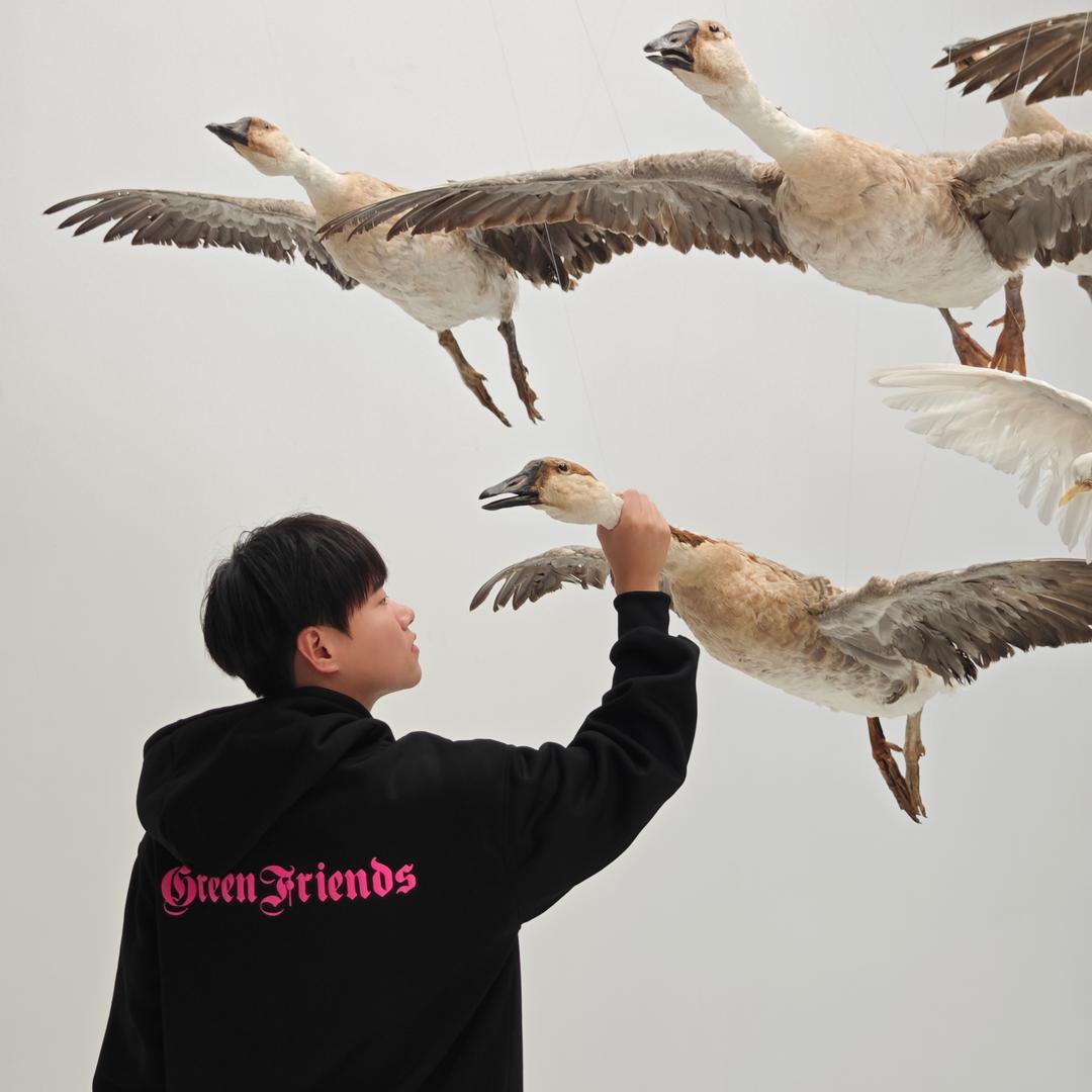 大笨钟.