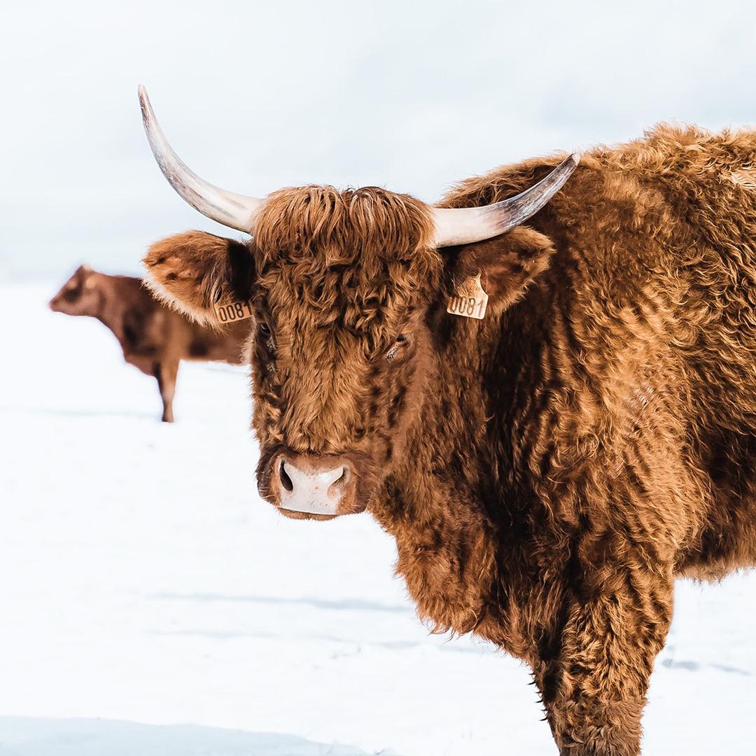 新疆优禾秧农副产品