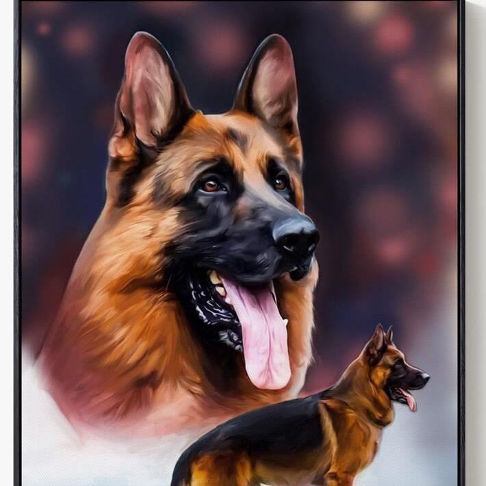 Allen德国牧羊犬