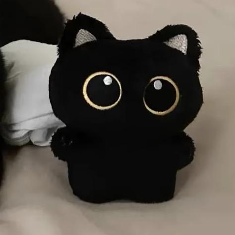 猫的信