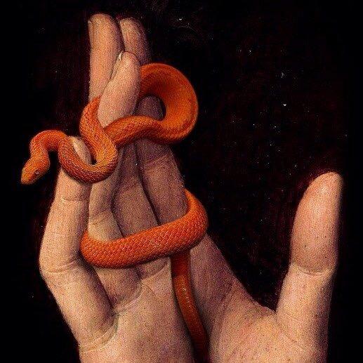 老天爷赏猪头肉