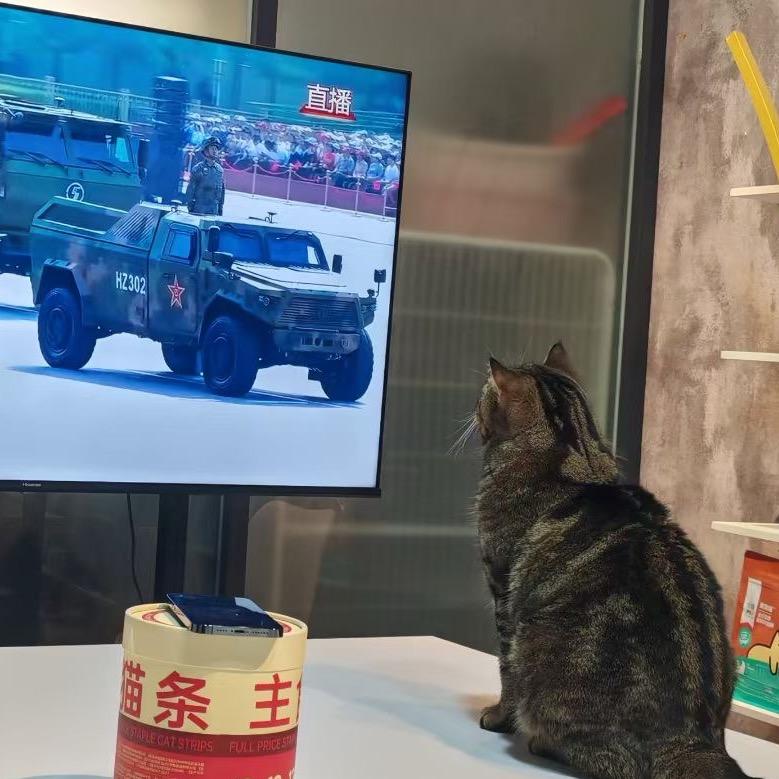 可乐脑袋🐈
